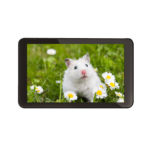Tablet Quad core 1gb, 16gb, doble cámara