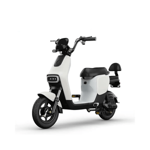 Motocicleta Eléctrica LDM3 750W