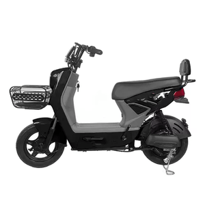 Motocicleta Eléctrica 800W LX