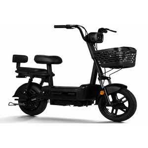 Eco Bike ENV 350W PP